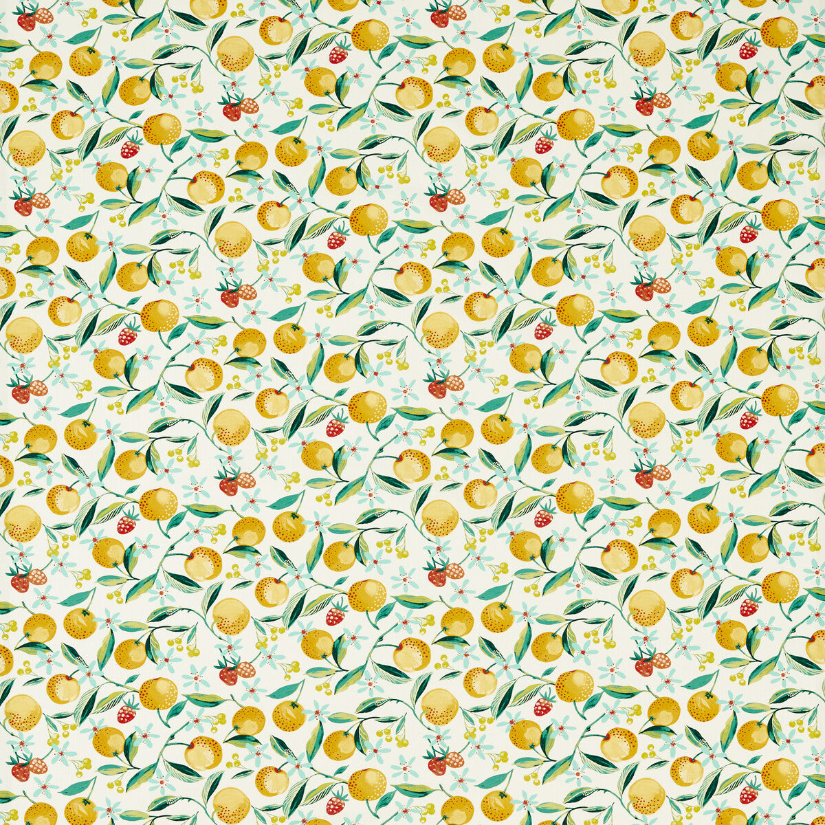 Orange Blossom-Citron