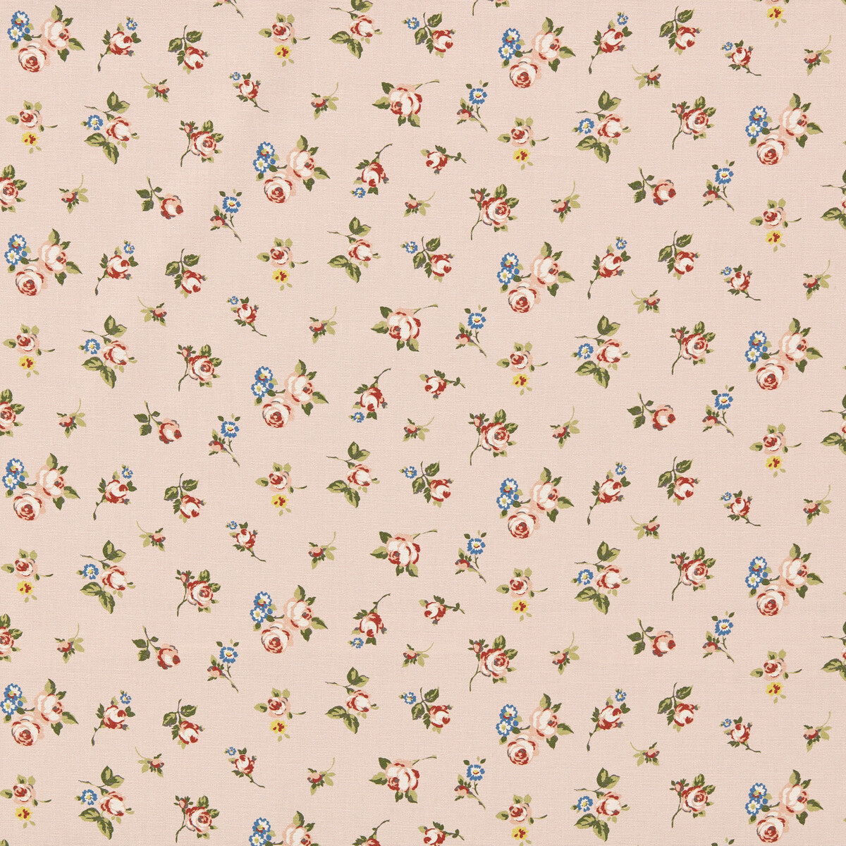 Rosebud-Blush