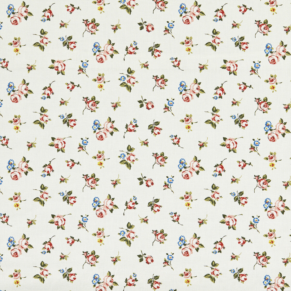 Rosebud-Spice