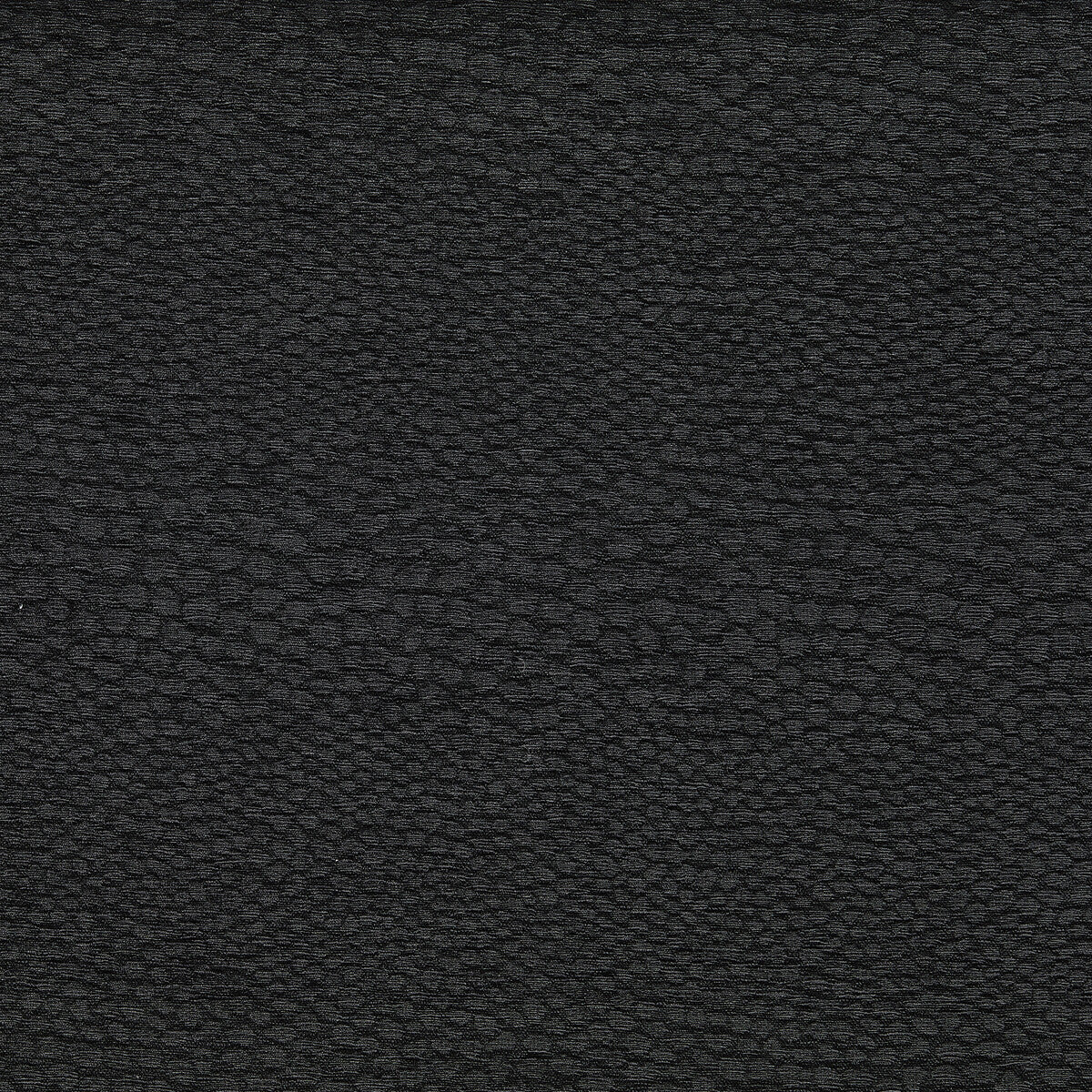 Castus-Ebony