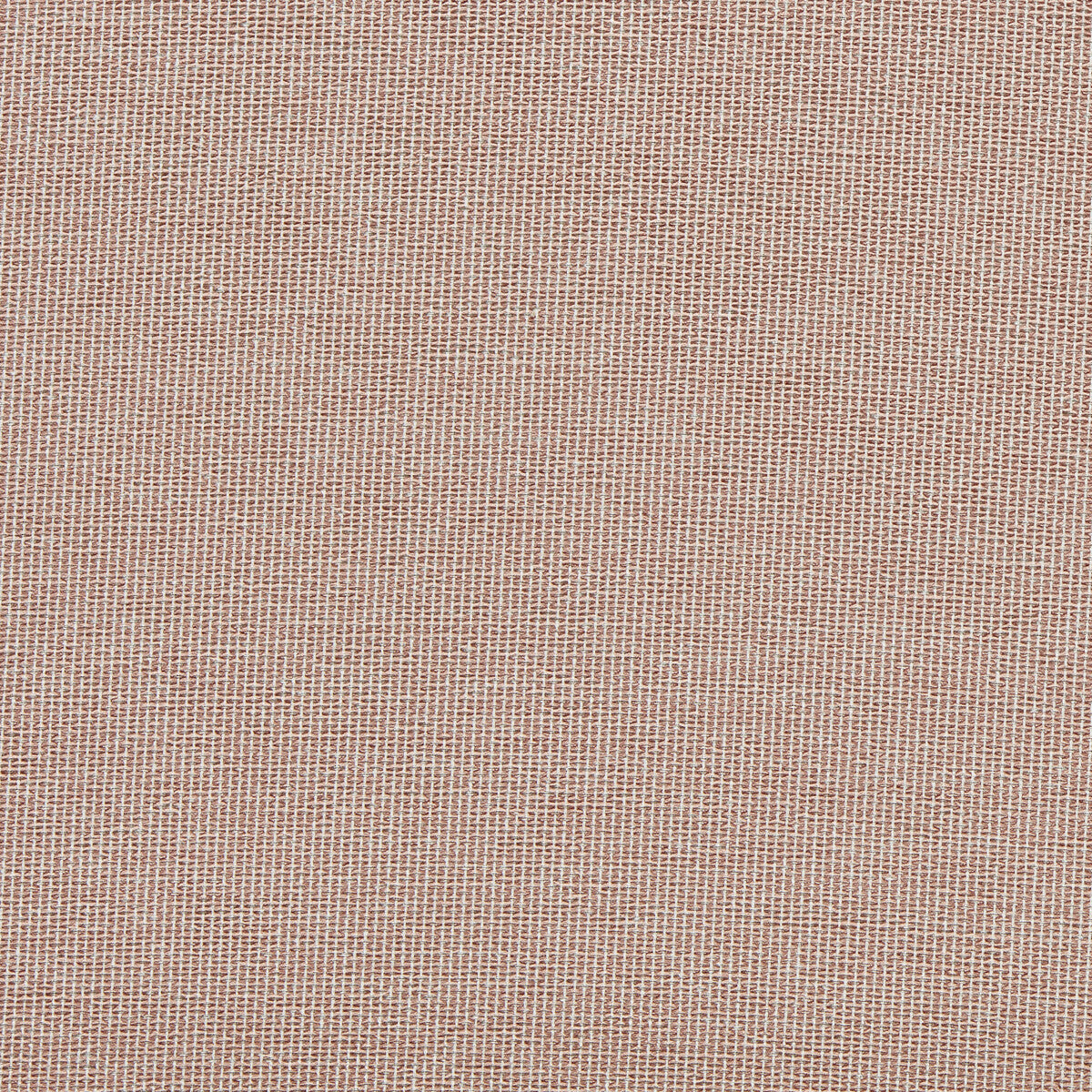 Pontus-Blush