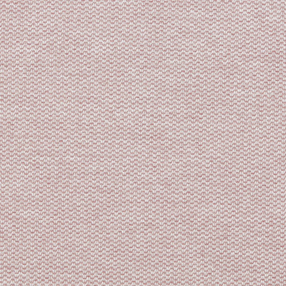 Tergo-Blush