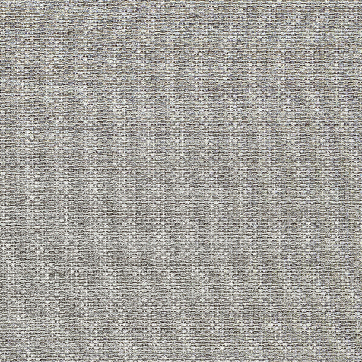 Tergo-Dove