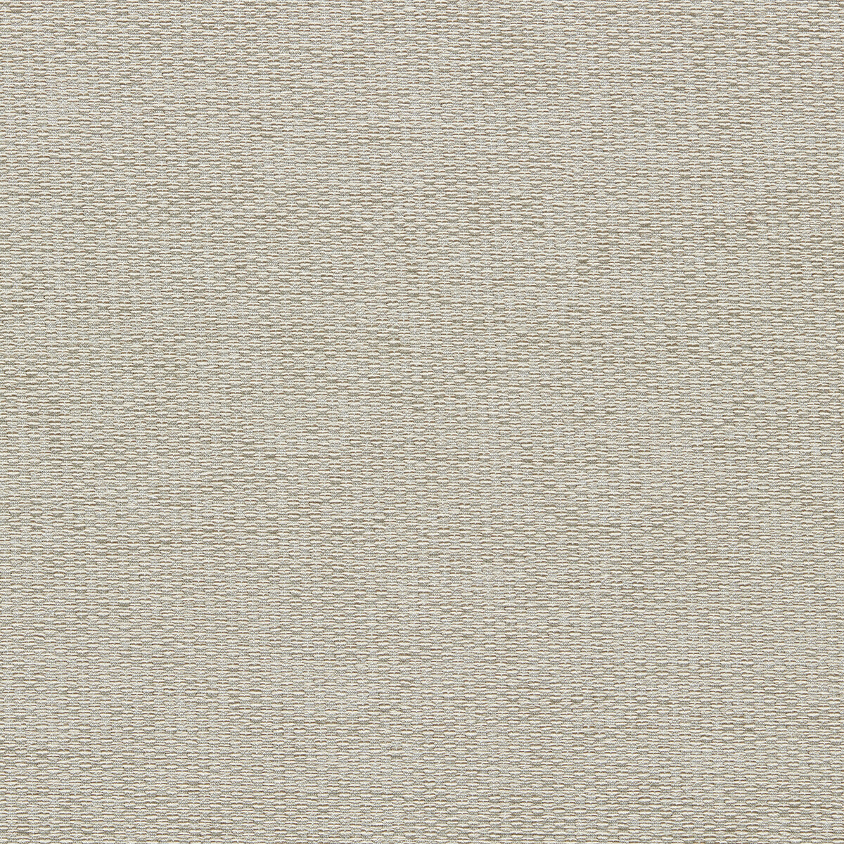 Tergo-Parchment
