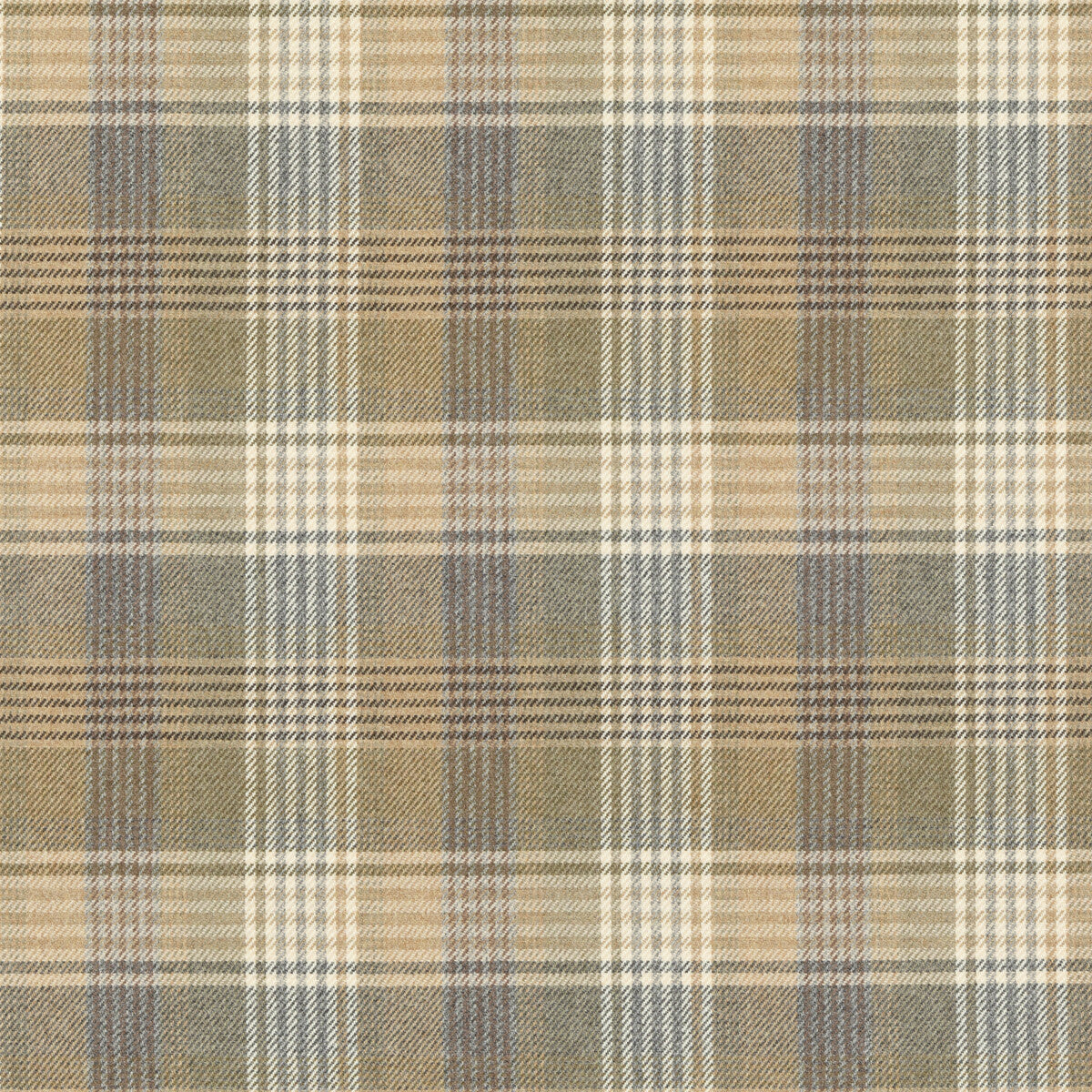 Braemar-Fawn