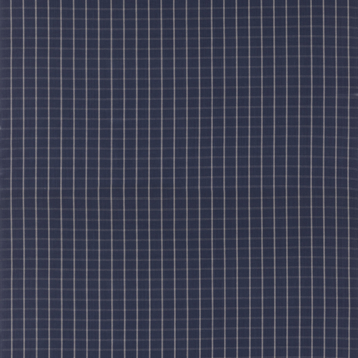 Compass Check-Indigo