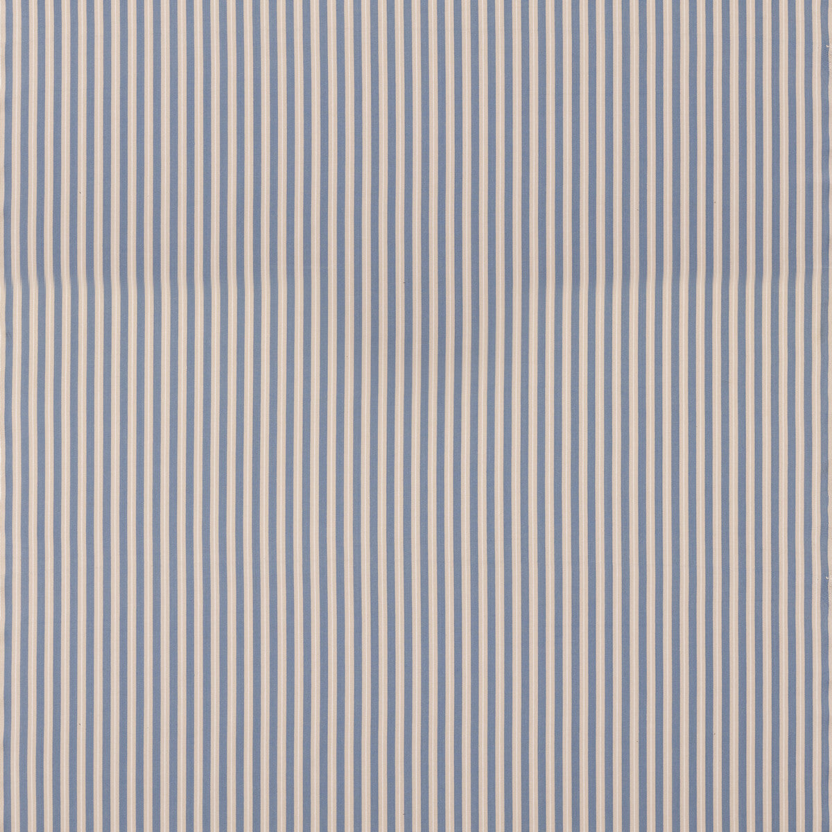 Compass Stripe-Blue