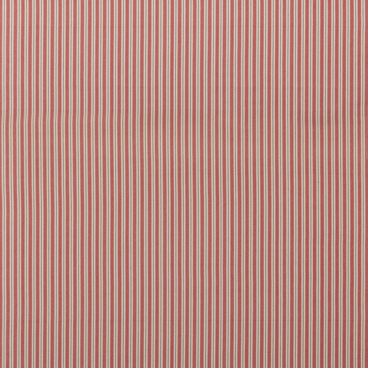 Compass Stripe-Red