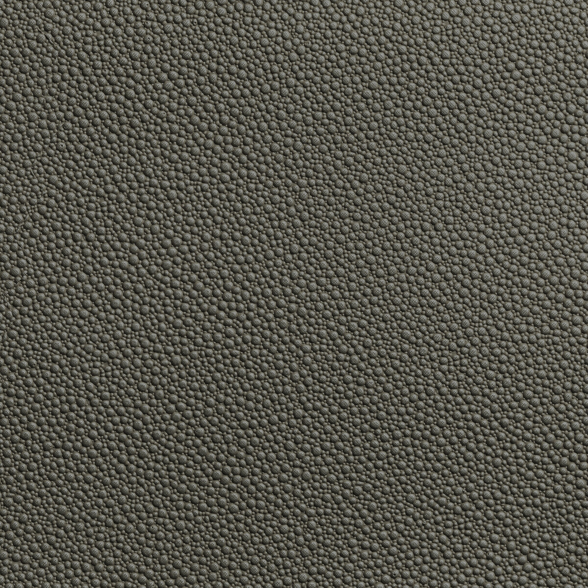 Fetch-Granite