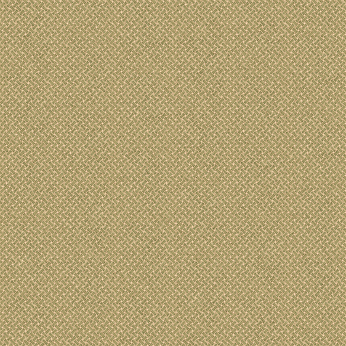Basketweave-Moss