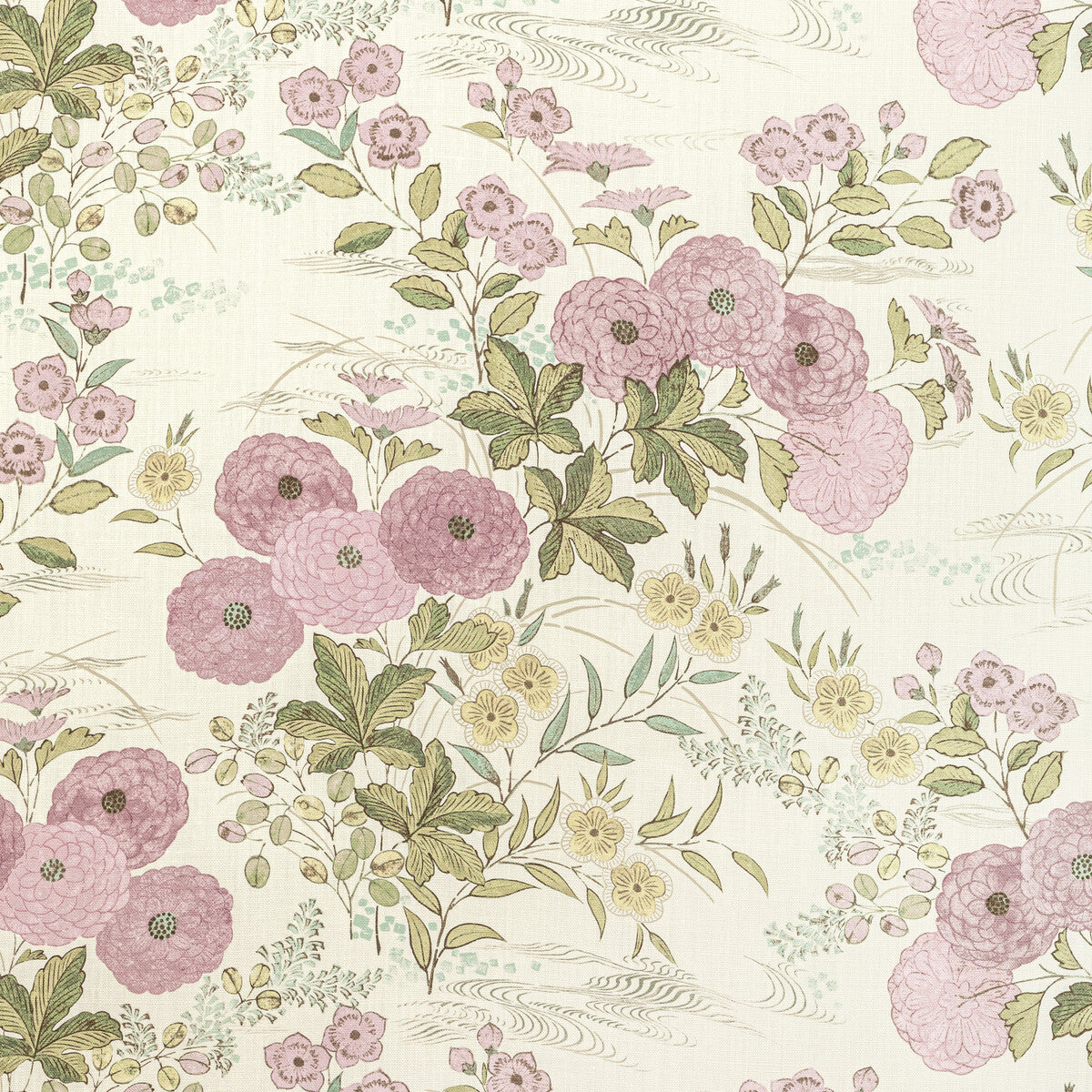 Fiorella-Lavender
