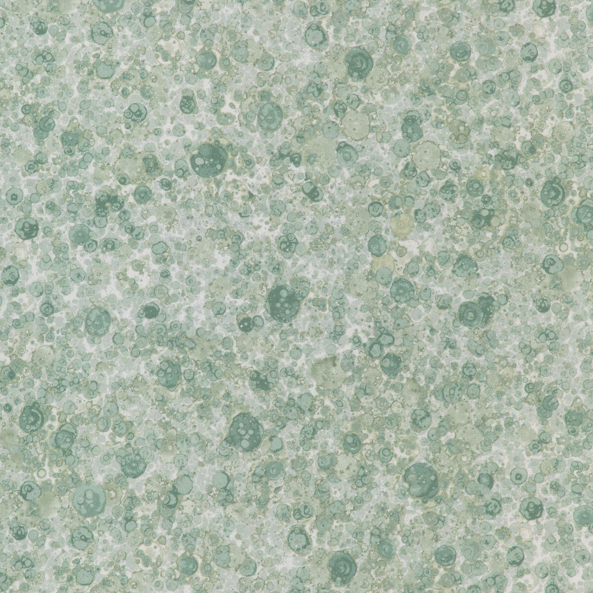 Fizzled-Mint