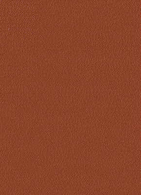 Kravet Design-Fortune-24