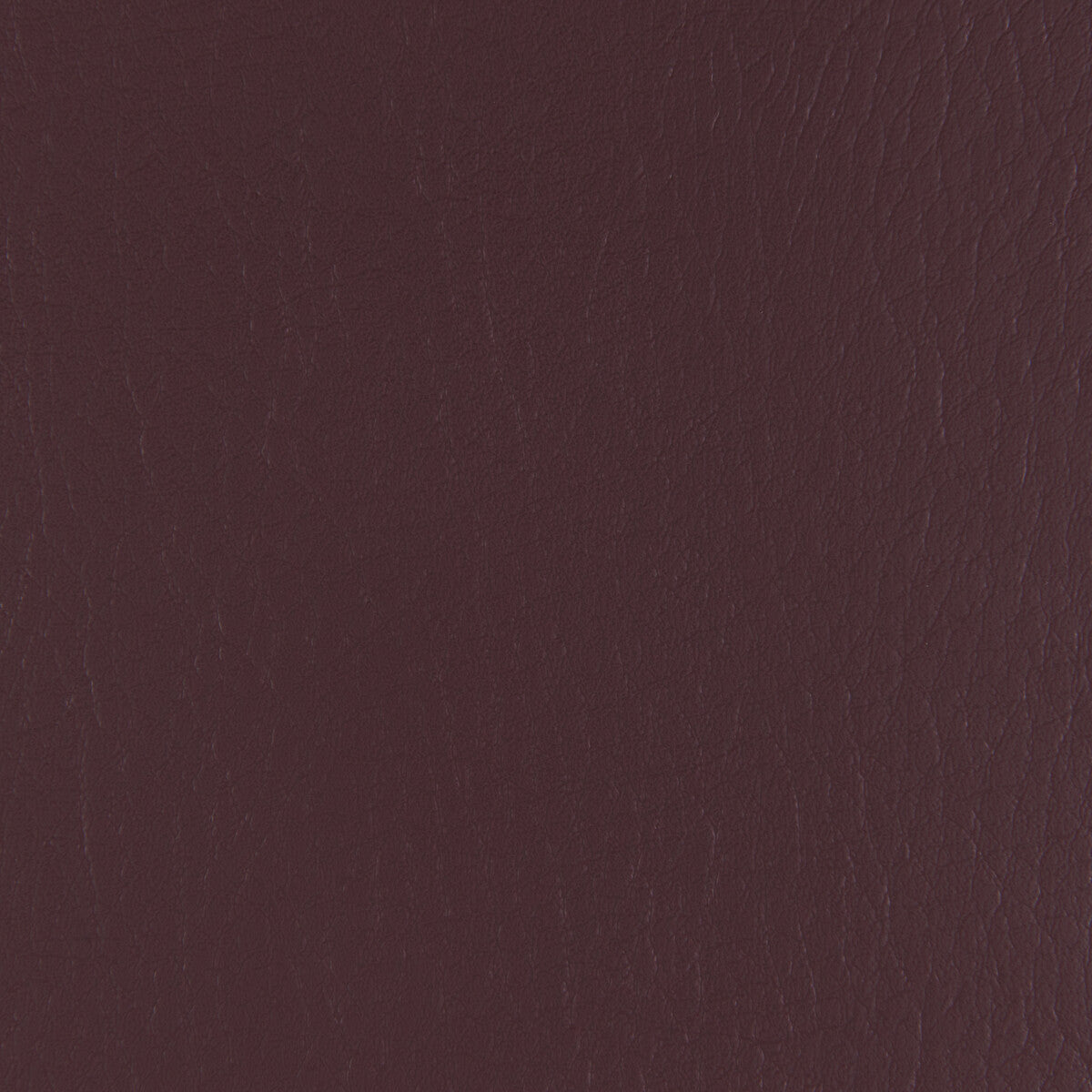 Forza-Plum