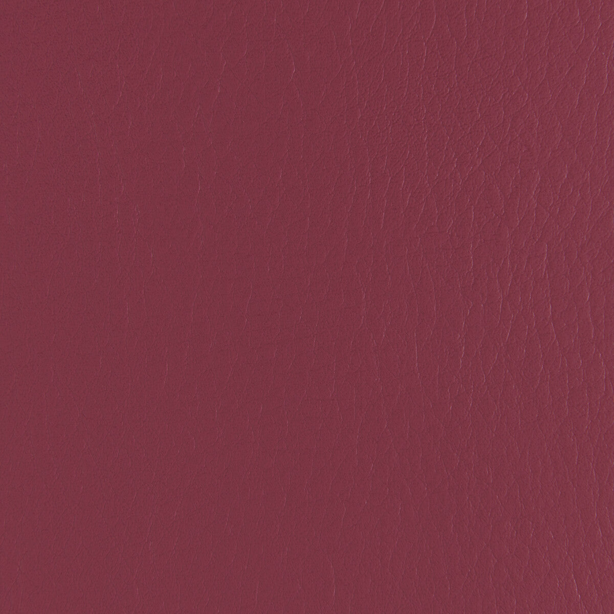 Forza-Mulberry