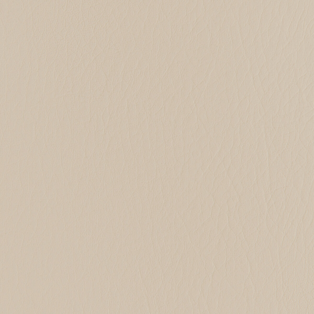 Forza-Au Lait