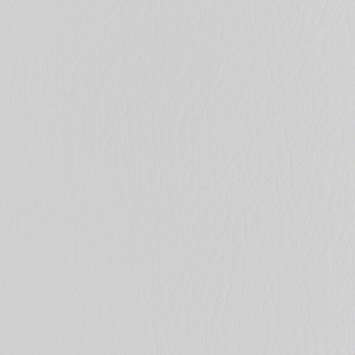 Forza-Fog