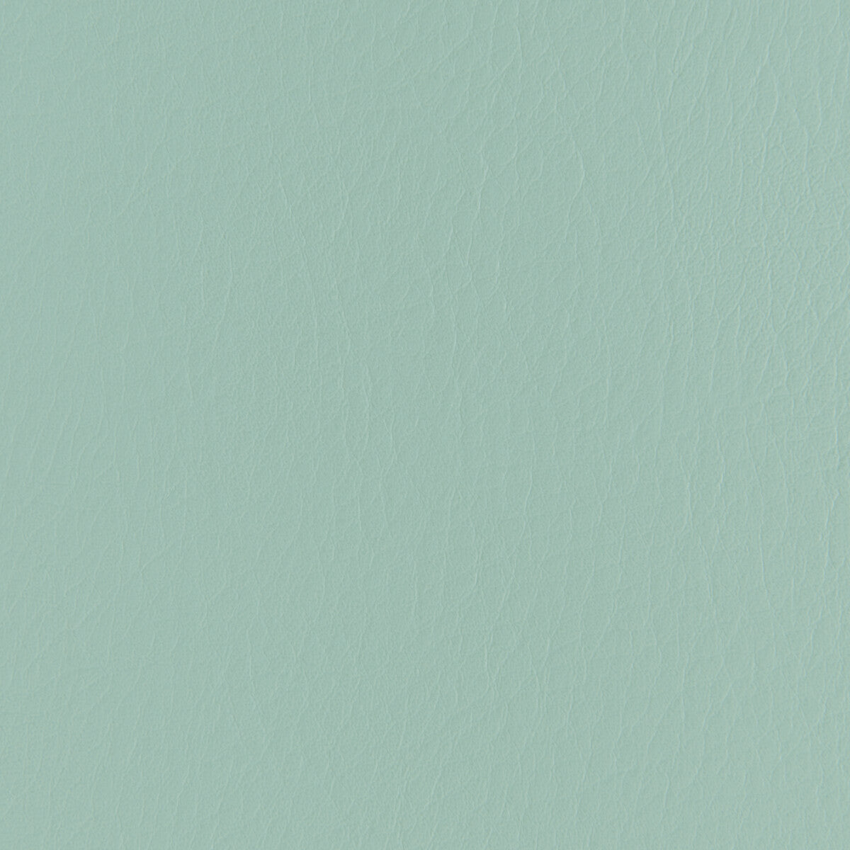 Forza-Spearmint