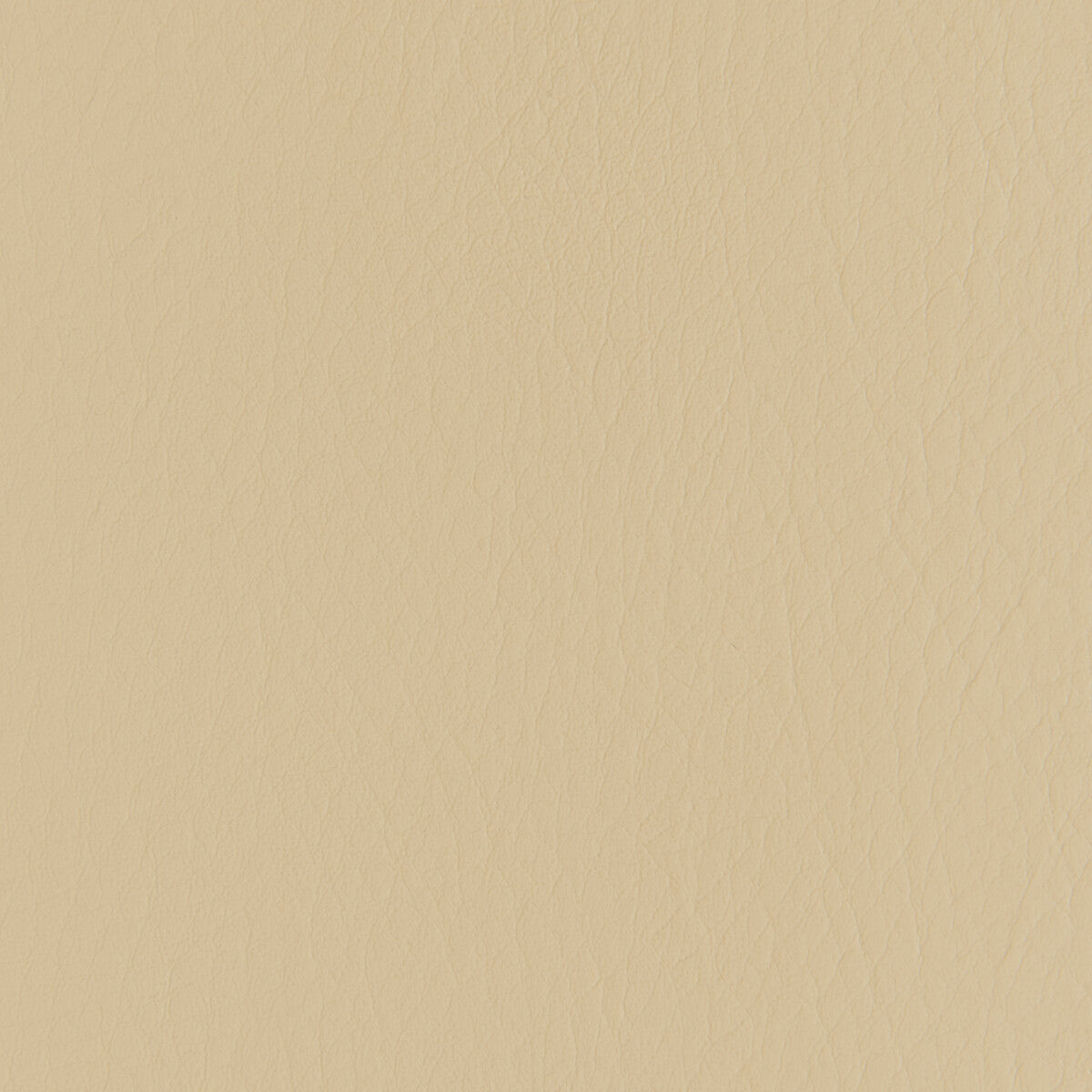 Forza-Sandstone