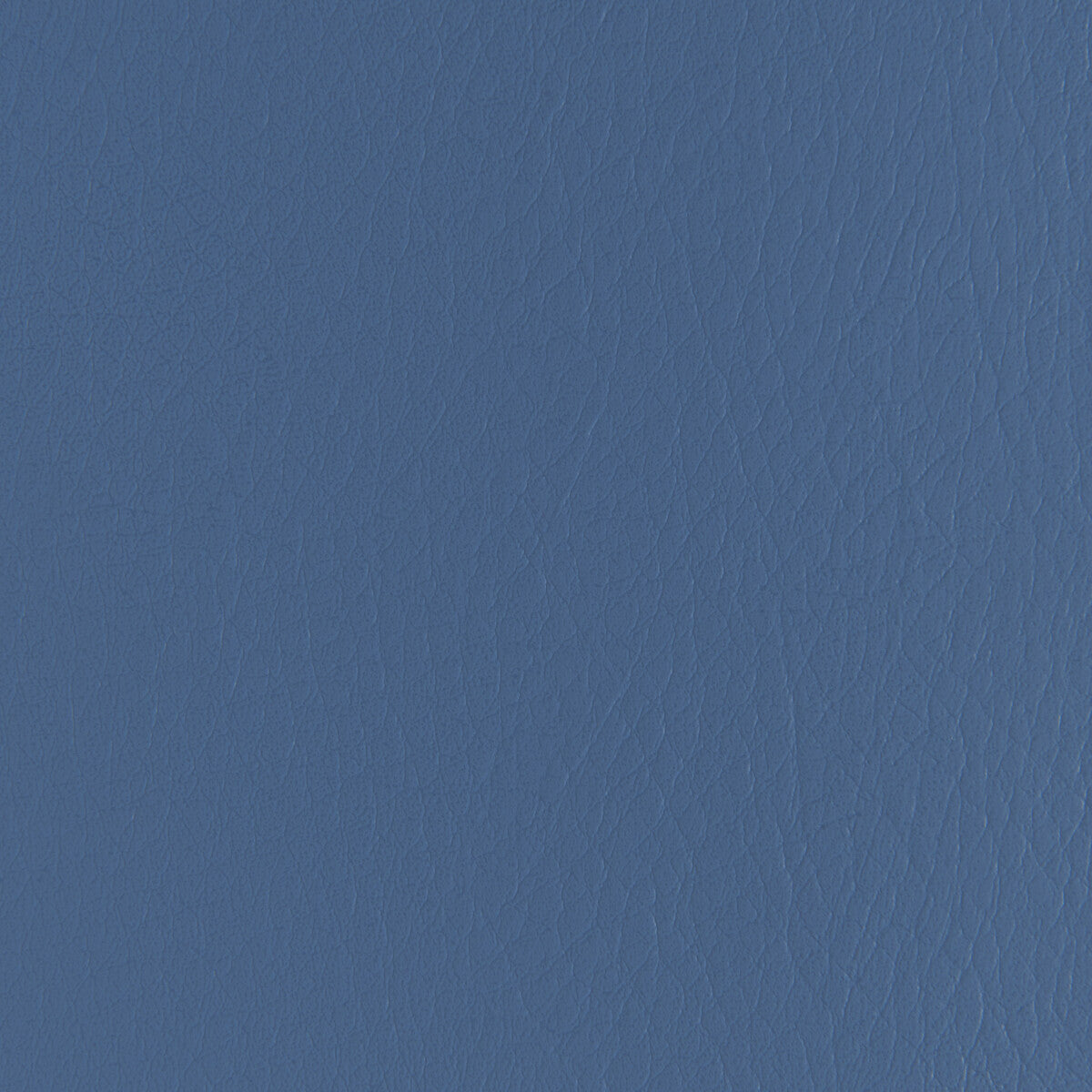 Forza-Neptune