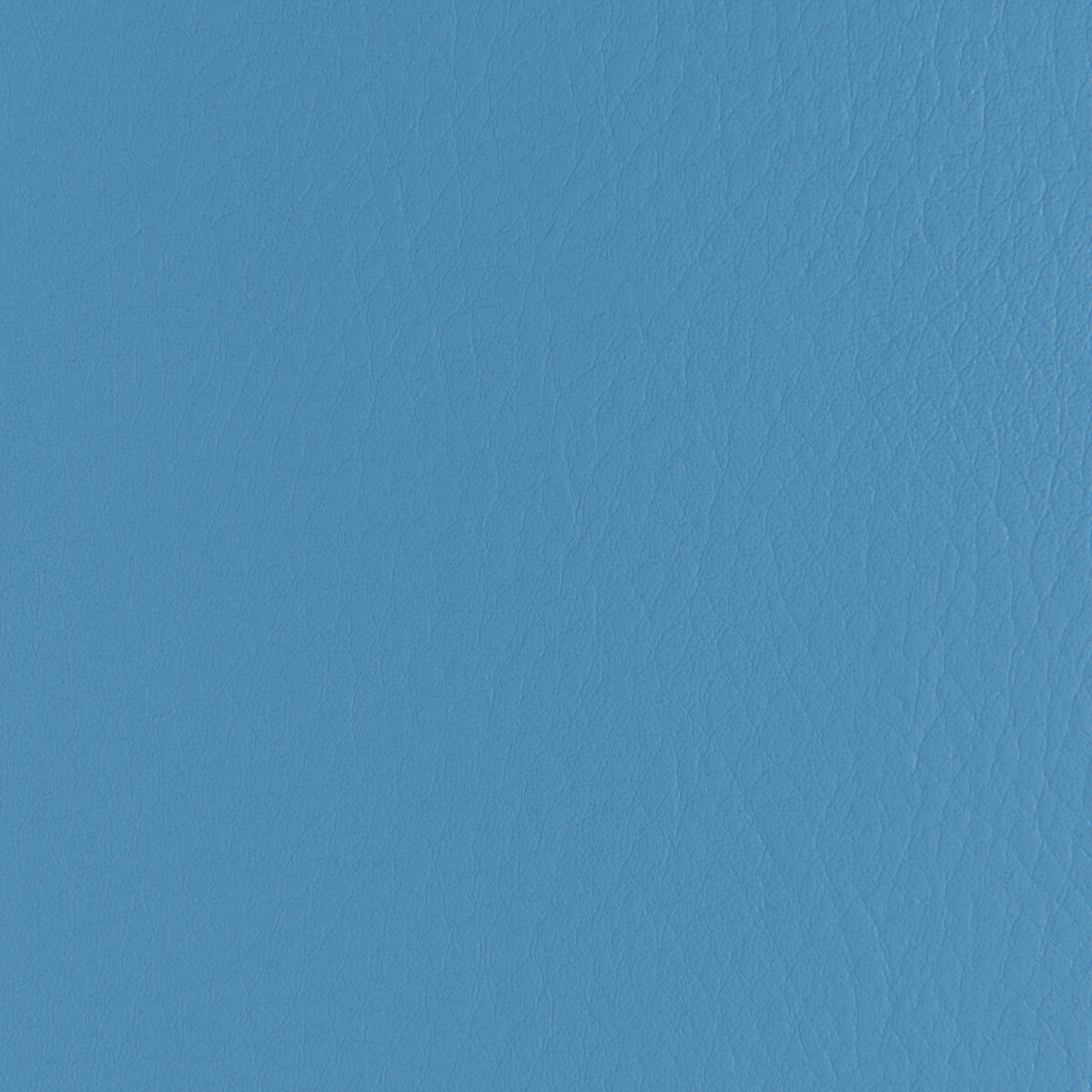Forza-Amalfi
