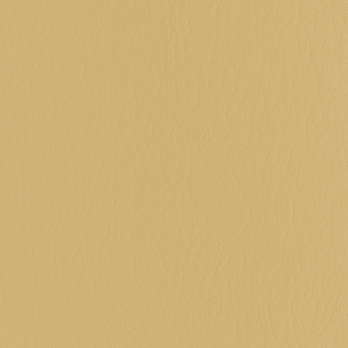 Forza-Butterscotch