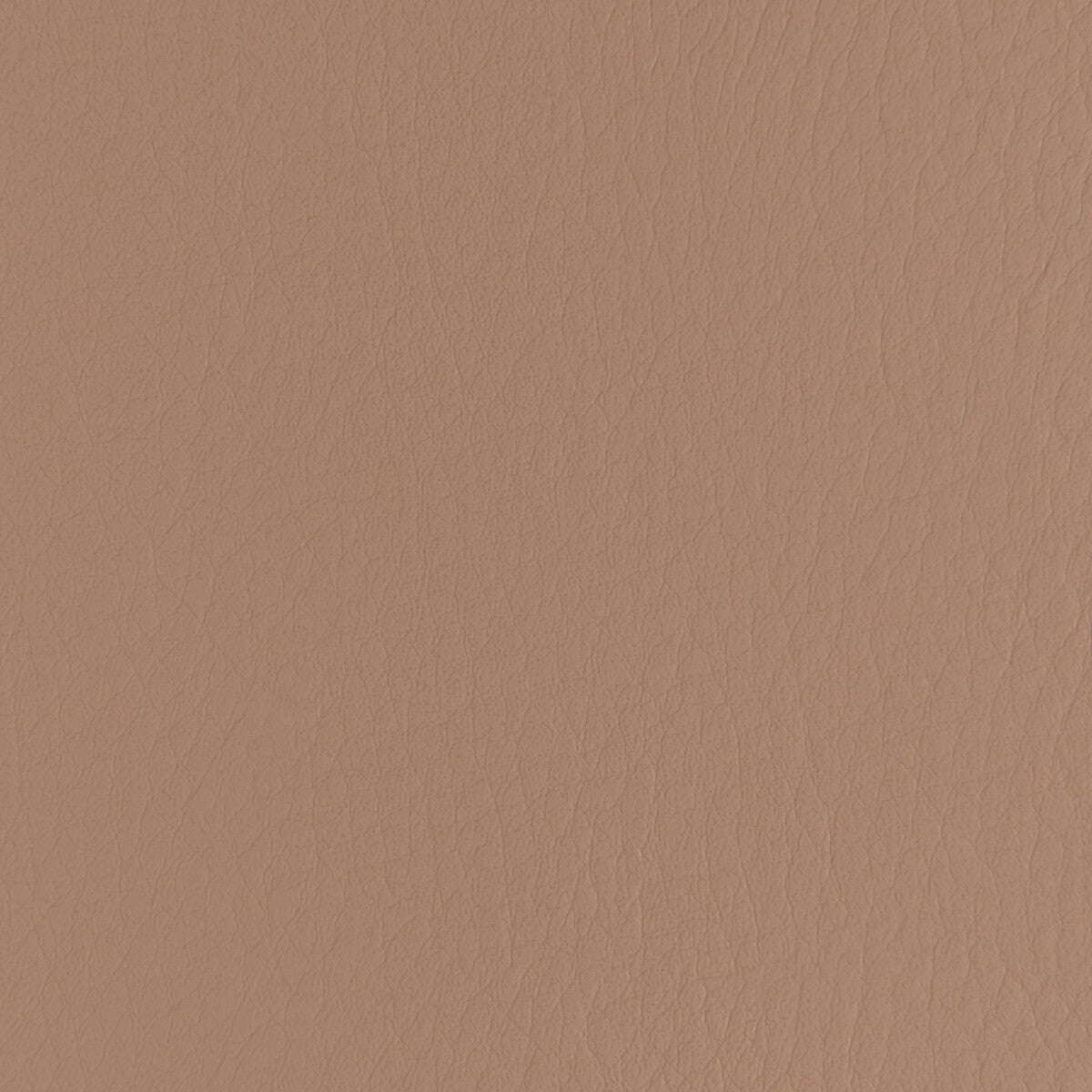 Forza-Praline