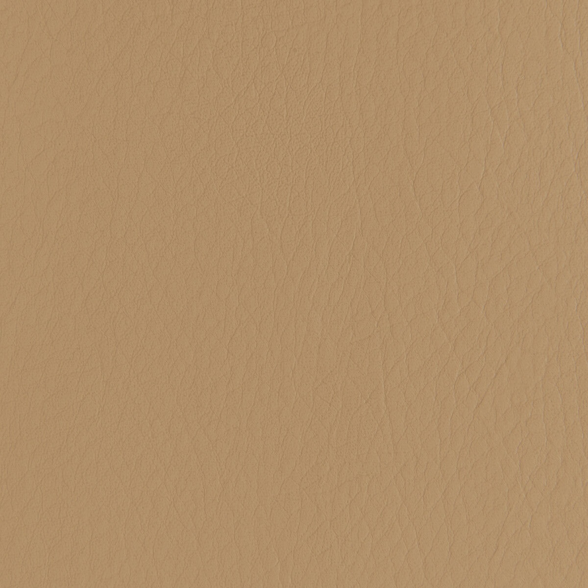 Forza-Caramel