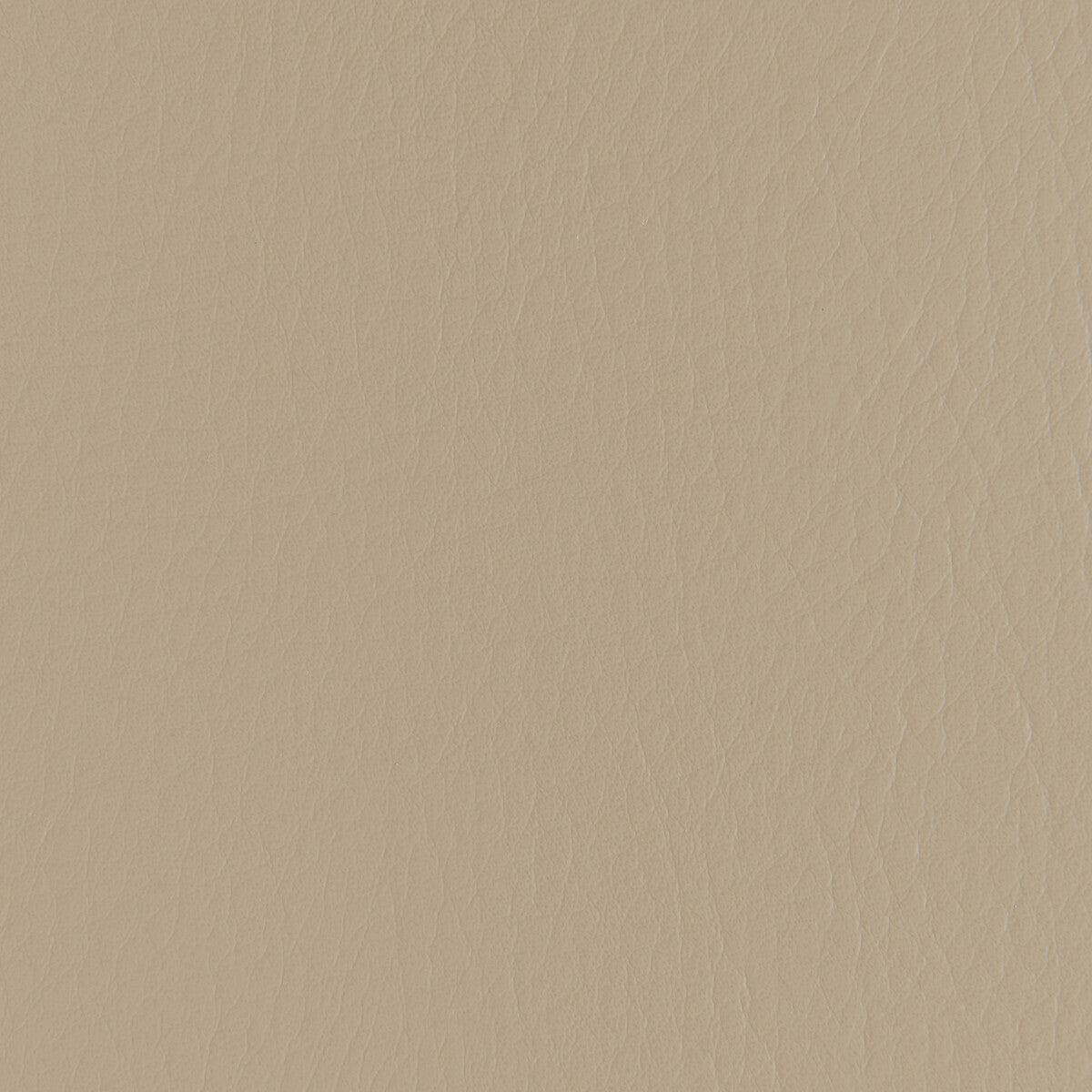 Forza-Fieldstone