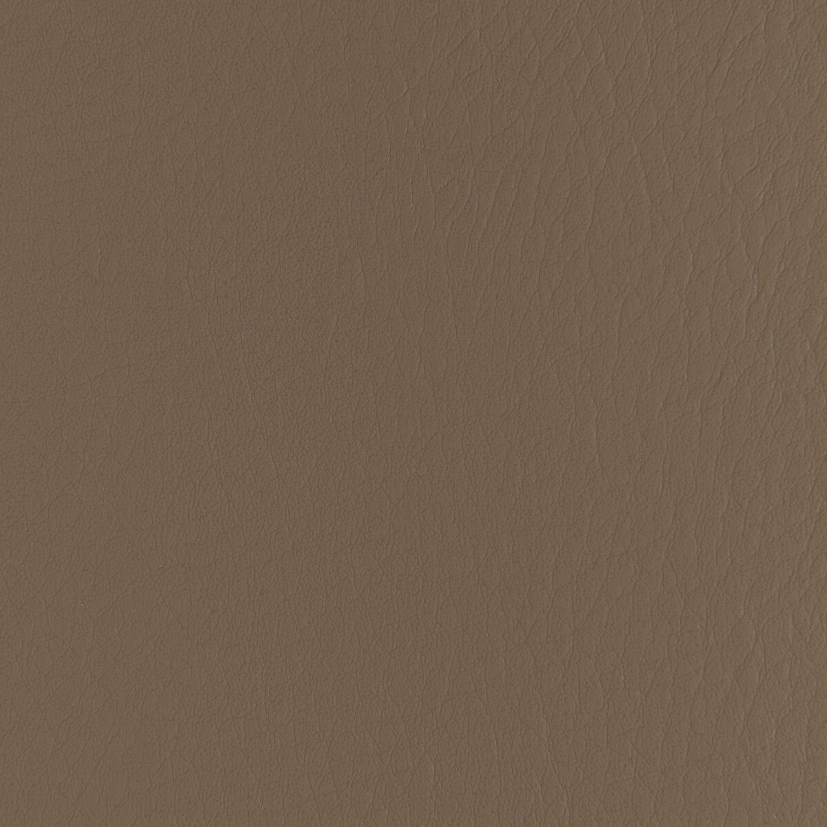 Forza-Walnut