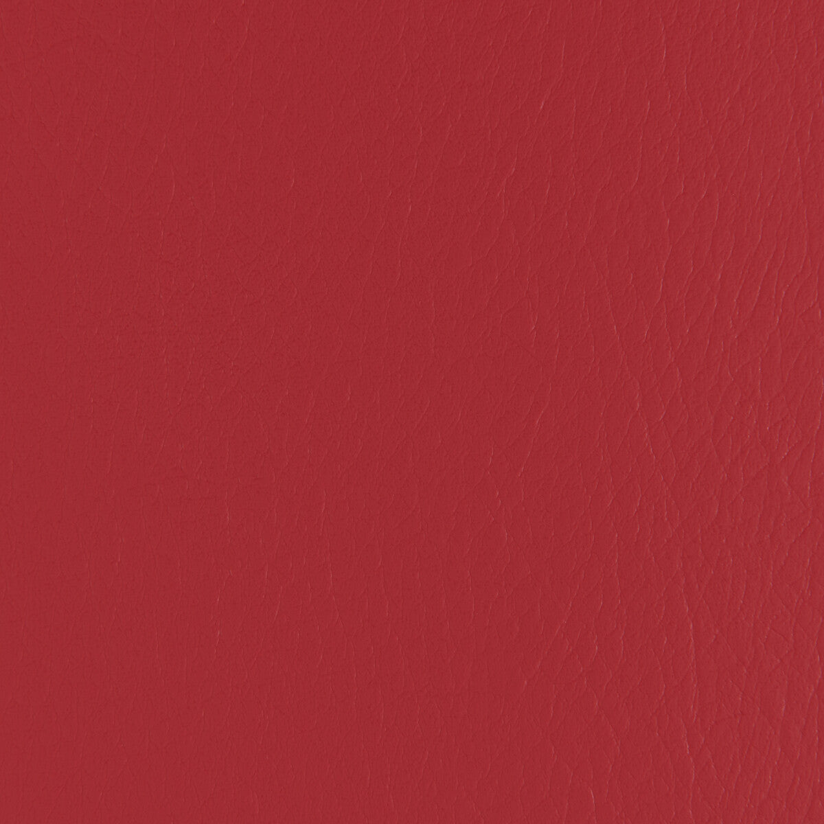 Forza-Cherry
