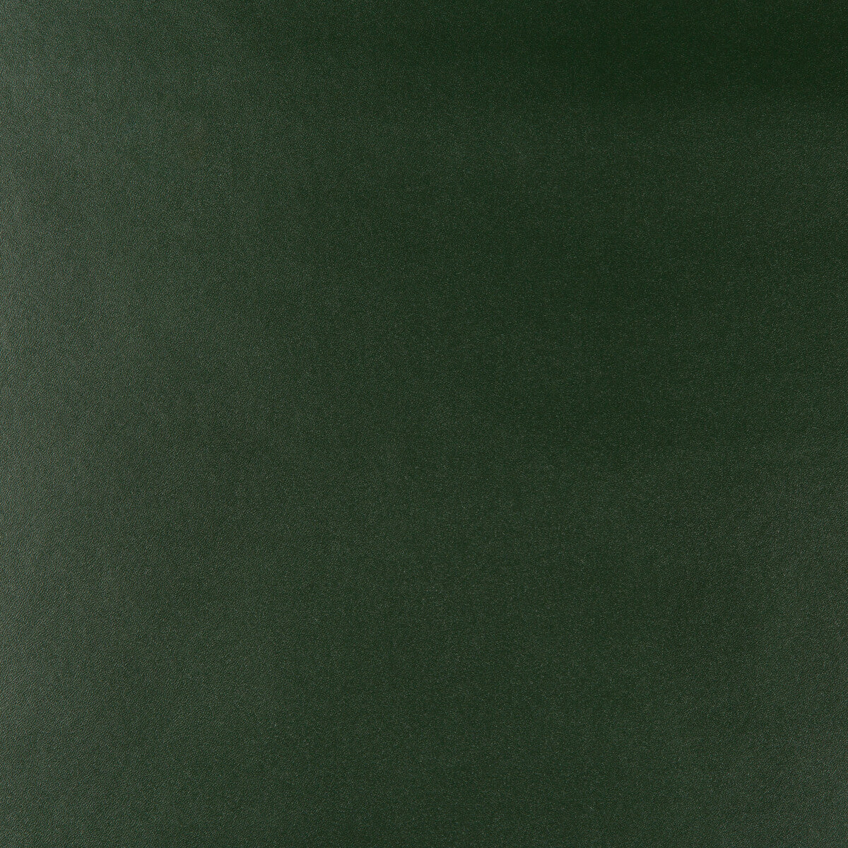 Kravet Design-Frankel-30