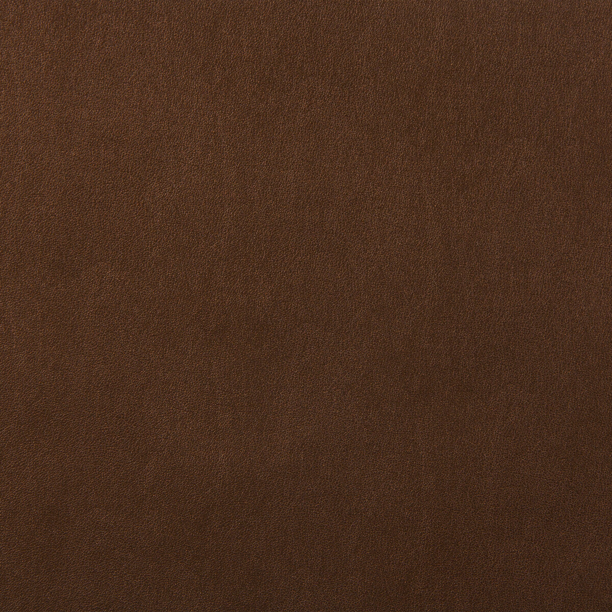 Kravet Design-Futuro-6
