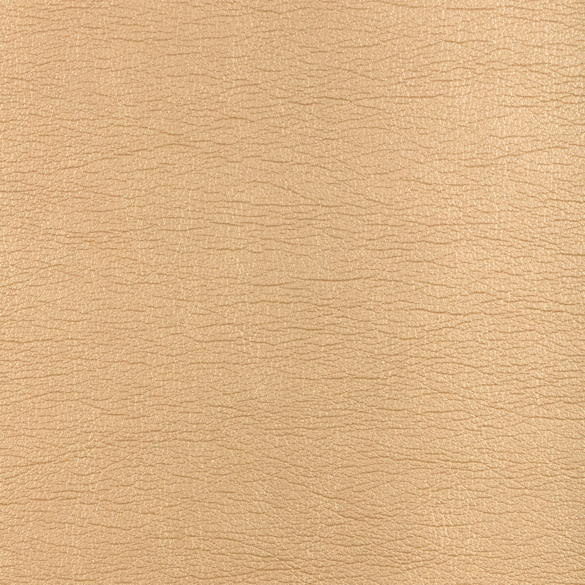 Kravet Design-Galleon-416