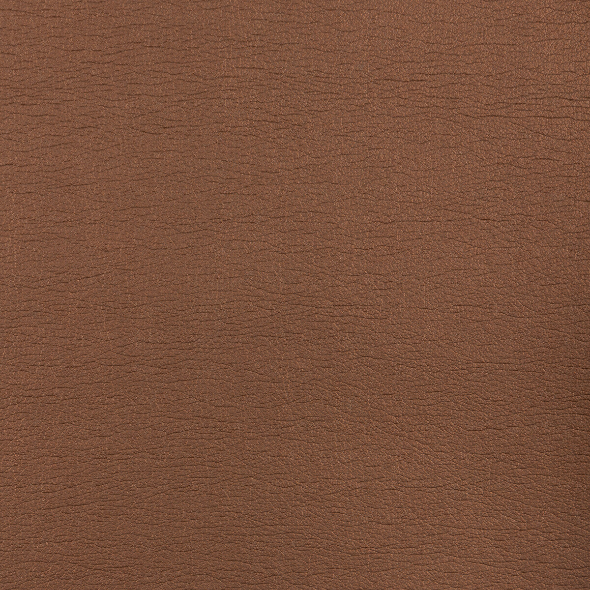 Kravet Design-Galleon-612