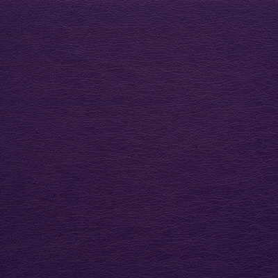 Kravet Design-Gato-10