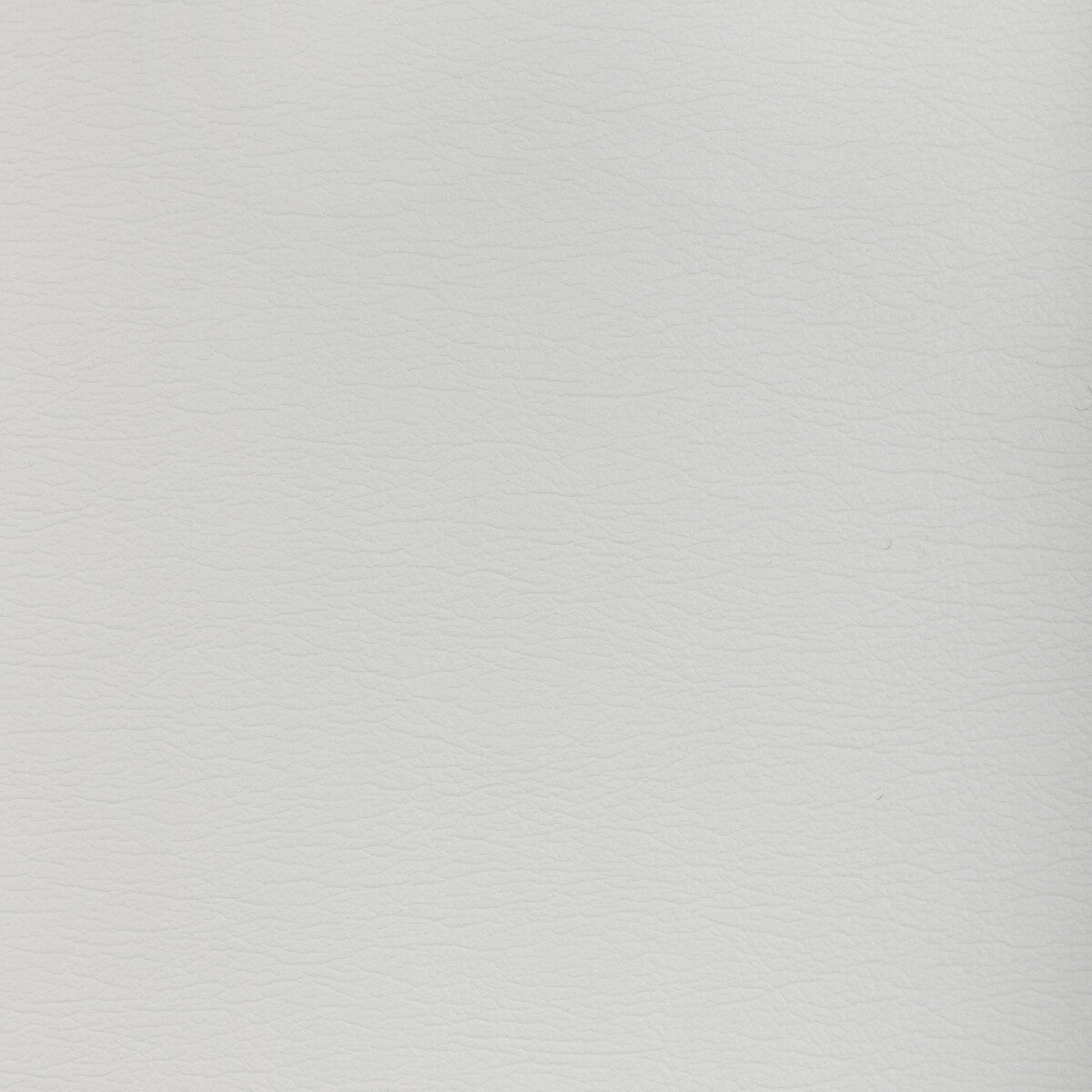 Kravet Design-Gato-1101