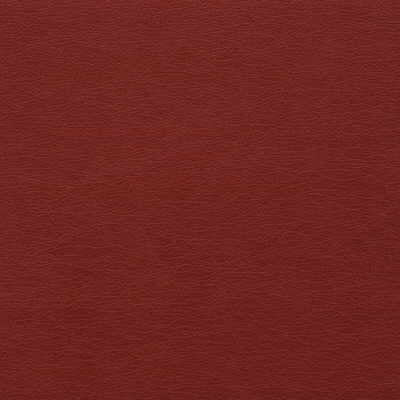 Kravet Design-Gato-19