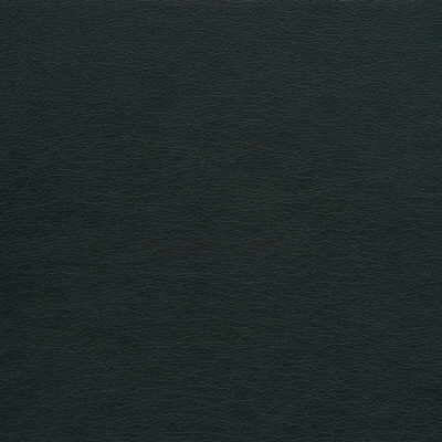 Kravet Design-Gato-21