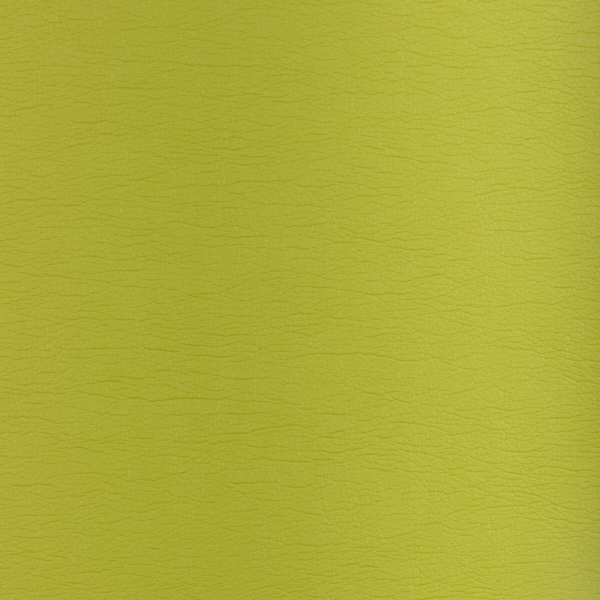 Kravet Design-Gato-23