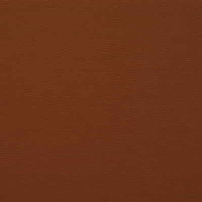 Kravet Design-Gato-24