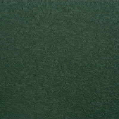 Kravet Design-Gato-303
