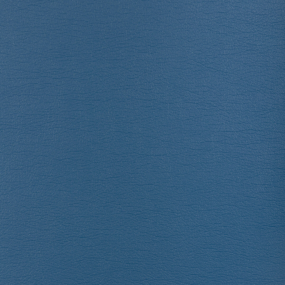 Kravet Design-Gato-55