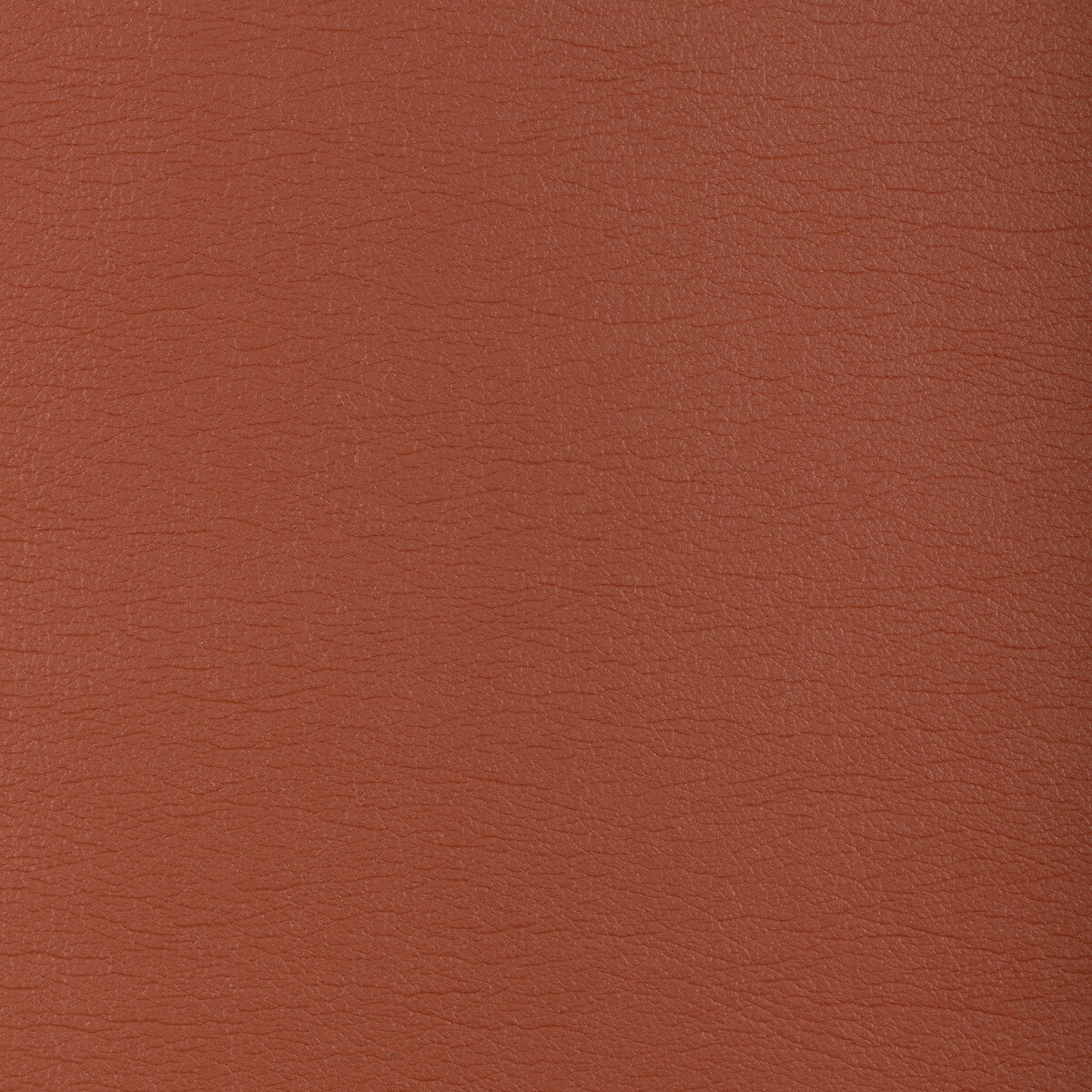 Kravet Design-Gato-612