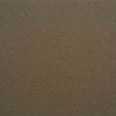 Kravet Design-Gato-621