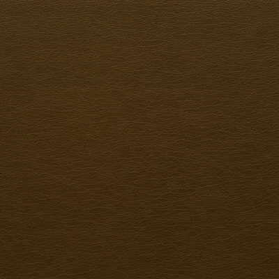 Kravet Design-Gato-66