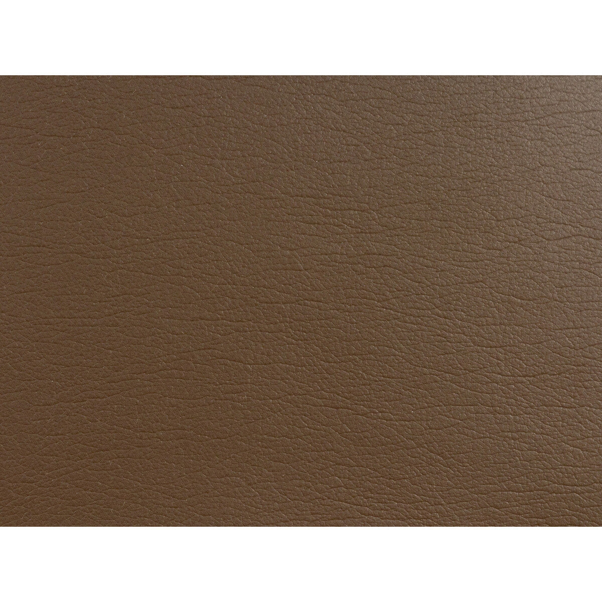 Kravet Design-Gato-68