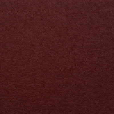 Kravet Design-Gato-9