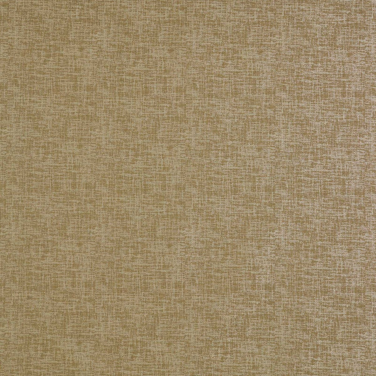 Teresa-Tostado