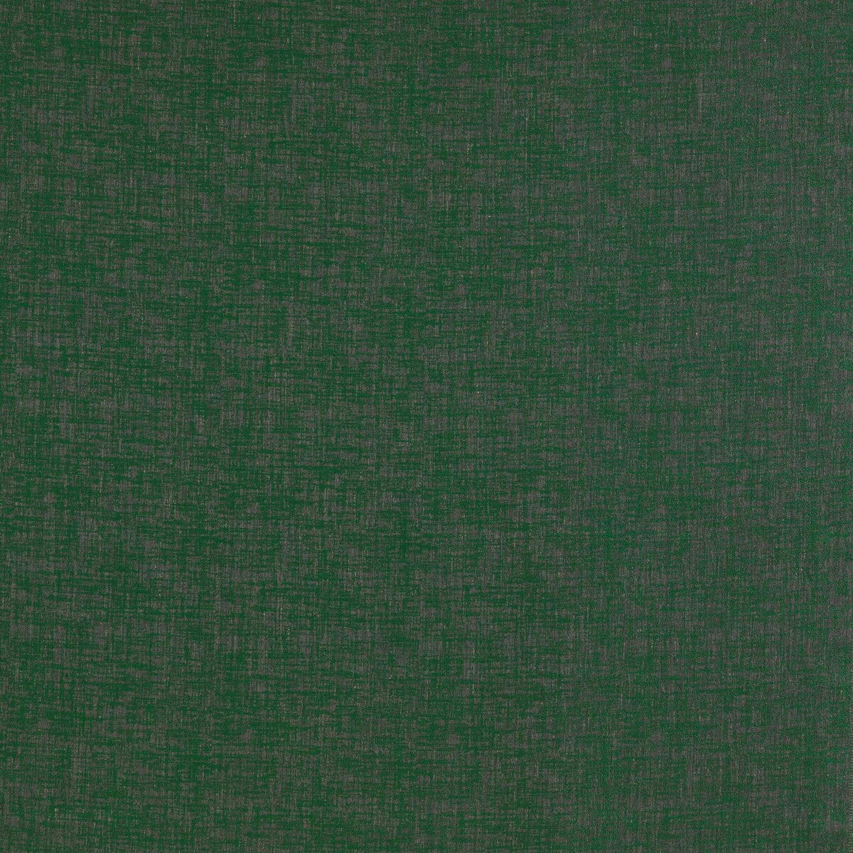 Teresa-Verde